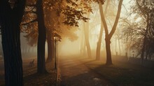 a foggy path in a park with trees on both sides and a street light on the other side of the path.