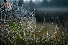 The Delicate Beauty Of A Spider's Web Adorned With Morning Dew In A Misty Meadow.