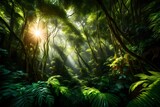 Fototapeta Las - A lush, tropical rainforest with sunlight filtering through the dense canopy.