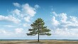 a lone pine tree stands in the middle of a grassy field under a blue sky with puffy white clouds.