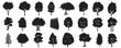 Tree silhouettes mega set in cartoon graphic design. Bundle elements of black outline oaks, maples, pines and other simple trees shapes for landscaping forest. Vector illustration isolated objects