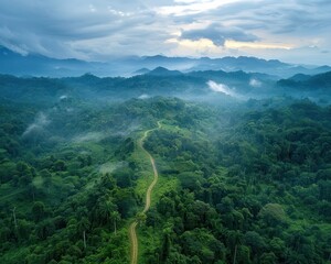 Wall Mural - Forest preservation efforts with eco-tourism supporting