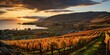 A stunning view of a vineyard with rows of vibrant grapevines under the warm hues of a sunset sky.