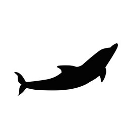 Canvas Print - Silhouette Of Dolphin 