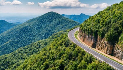 Wall Mural - aerial view of the road on the mountain with forest arround