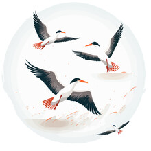 Albatross | Minimalist And Simple Set Of Flat White Background - Vector Illustration