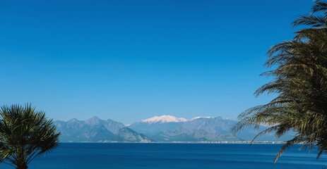 Wall Mural - An expansive view captures the towering snow mountains against a clear sky in Antalya, Turkey. The foreground features the Mediterranean Sea and palm trees.