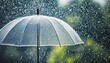 © William - transparent umbrella under heavy rain against water drops splash background rainy weather concept