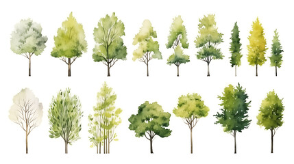 set of watercolor green tree isolated on white background for landscape and architecture drawing, el