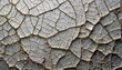 many small cracks on the wall with transparent background macro