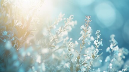 Canvas Print - A detailed view of a plant with a blurred background. This image can be used to depict nature, growth, or botanical themes