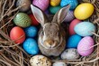 Happy Easter Eggs Basket decorating. Bunny in flower easter Desert bloom decoration Garden. Cute hare 3d Caption area easter rabbit spring illustration. Holy week trimming card wallpaper custard
