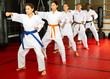 © JackF - Group lesson in karate or taekwondo in the gym. Practicing blows