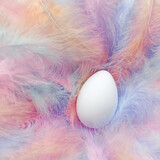 Fototapeta Do przedpokoju - Single Easter egg in soft fluffy pastel feathers. Gentle Easter theme with blank white egg in delicate nest of feathers.