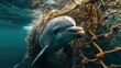 Dolphin entangled in a fishing net. Ecological disaster. Generative AI