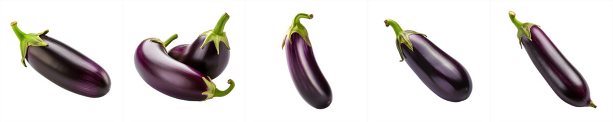 Wall Mural - collection of organic black eggplant vegetable isolated on transparent background