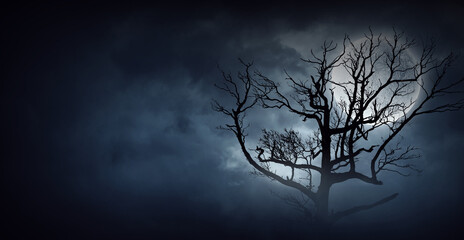 Wall Mural - spooky night image. mixed media