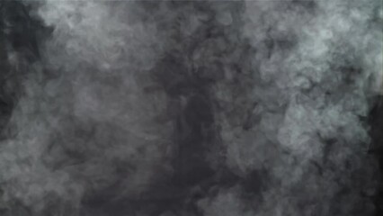 Sticker - Thick white smoke. Filmed on a high-speed camera at 1000 fps. High quality FullHD footage