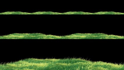 Wall Mural - grass wind noise loop on alpha channel. element footage place on footage or background and easier to