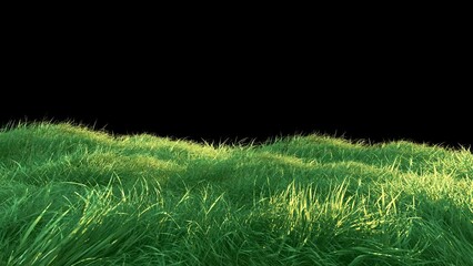 Wall Mural - grass wind noise loop on alpha channel. element footage place on footage or background and easier to