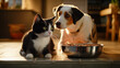Dog and cat eyeing the food in a bowl.