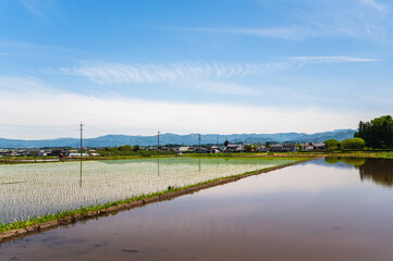 Wall Mural - 田植え頃の自然風景　八ヶ岳方面