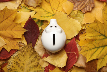 Wall Mural - Ceramic piggy bank on fallen yellow autumn leaves