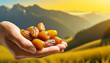 hand hold golden dates fruit with yellow background