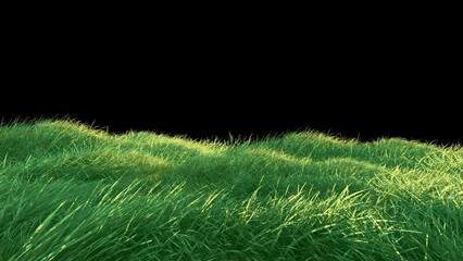 Wall Mural - grass wind noise loop on alpha channel. element footage place on footage or background and easier to