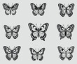 © Designhut1983 - Set of black and white color butterflies' vector, illustration collection isolated
