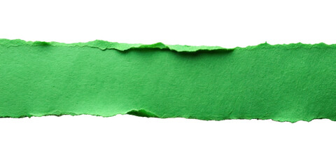 Wall Mural - green piece of torn paper isolated on transparent background design elements.