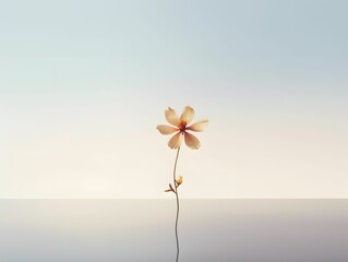 minimal flower background
