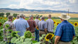 © Justlight - Against a backdrop of rolling hills a group of farmers gathered together to inspect a field of sunflowers. They discussed the ideal time for harvest focusing on delivering