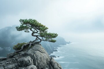 Sticker - At the edge of a rocky cliff stands a solitary tree, commanding views of the sea and distant mountains