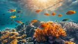 Fototapeta Do akwarium - Coral reef and fish