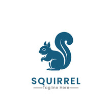Squirrel Logo Icon Design Vector