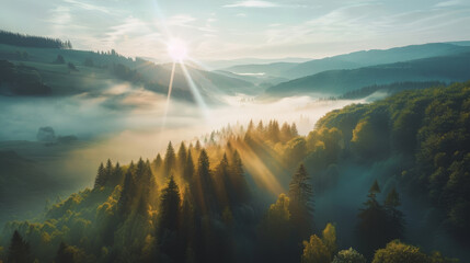 Wall Mural - Nature is bright, beautiful and amazing.
