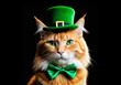 Ginger cat wearing leprechaun green hat and bow on dark background. St. Patrick's Day concept. 
