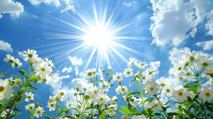 Wall Mural - Flower, Nature is bright, beautiful and amazing.