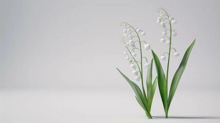 Wall Mural - Isolated Lily Of Valley Against A White Background, A Spring Themed Background And Plant. May, Nature and Mother's Day Background