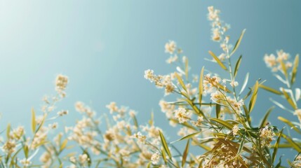 Sticker - Natural autumn background with delicate beautiful flowers against blue sky