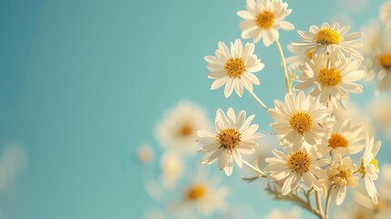 Sticker - Natural autumn background with delicate beautiful flowers against blue sky