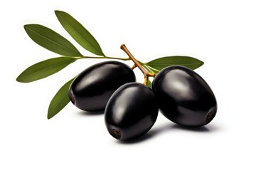 isolated olives. three black olive fruits on a branch with leaves isolated on white background, blac