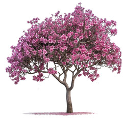 pink flower tree PNG transparent background 