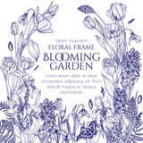 Fototapeta  - Vector illustration of spring flowers primroses. Snowdrops, crocuses, brunnera, tulips, muscari, hyacinths, irises in engraving style