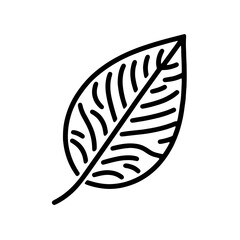Wall Mural - leaf icon. leaf linear symbol. black leaf silhouette isolated on white