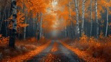Fototapeta Las - a road in the middle of a forest with lots of trees and leaves on both sides of the road is surrounded by yellow and orange foliage.