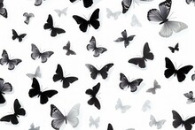 Black Butterflies On A White Background