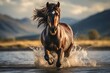 Wildlife photography of a brown horse running in the water