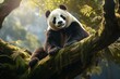 © Tarun - A cute panda in a forest or garden sitting and relaxing